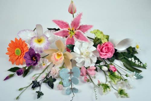 flores PME.jpg