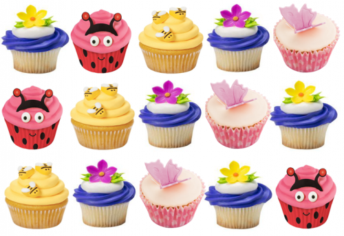 Cupcakes rectan.png